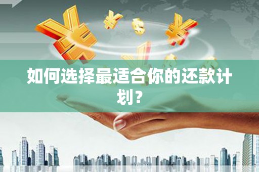 蒙阴如何选择最适合你的还款计划？