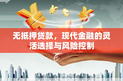 蒙阴无抵押贷款，现代金融的灵活选择与风险控制