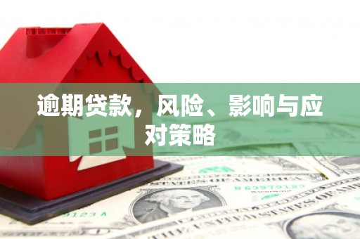 蒙阴逾期贷款，风险、影响与应对策略