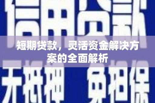 蒙阴短期贷款，灵活资金解决方案的全面解析