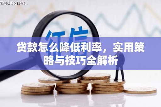 蒙阴贷款怎么降低利率，实用策略与技巧全解析
