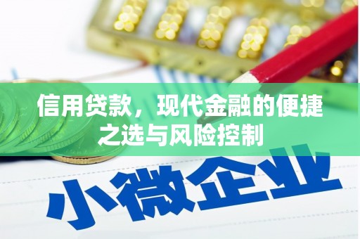 蒙阴信用贷款，现代金融的便捷之选与风险控制