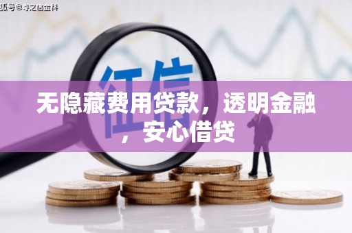 蒙阴无隐藏费用贷款，透明金融，安心借贷