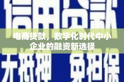 蒙阴电商贷款，数字化时代中小企业的融资新选择