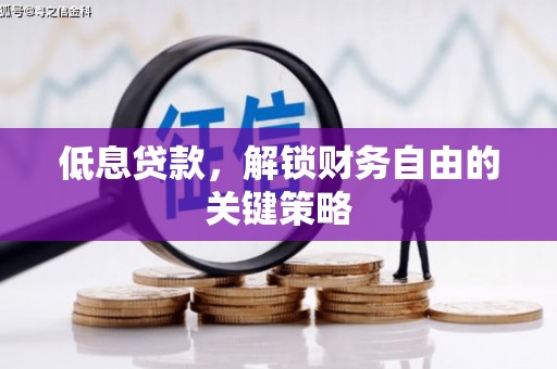 蒙阴低息贷款，解锁财务自由的关键策略