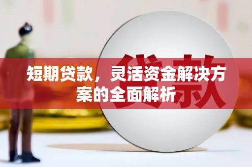 蒙阴短期贷款，灵活资金解决方案的全面解析