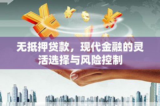 蒙阴无抵押贷款，现代金融的灵活选择与风险控制