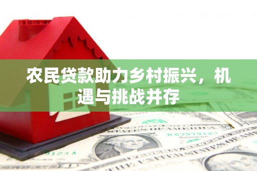 蒙阴农民贷款助力乡村振兴，机遇与挑战并存