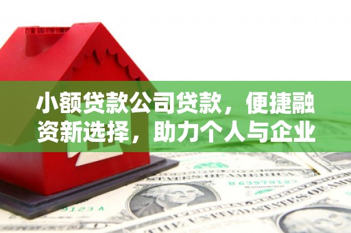 蒙阴小额贷款公司贷款，便捷融资新选择，助力个人与企业成长