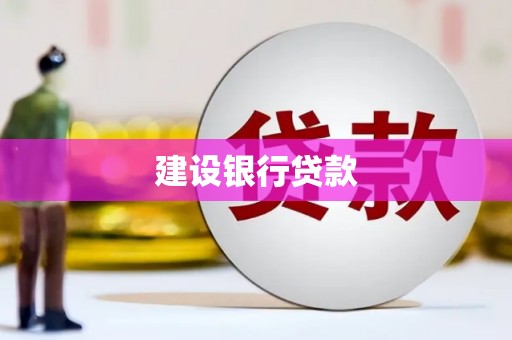 蒙阴建设银行贷款