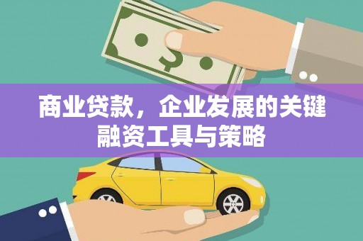 蒙阴商业贷款，企业发展的关键融资工具与策略