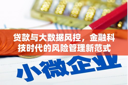 蒙阴贷款与大数据风控，金融科技时代的风险管理新范式
