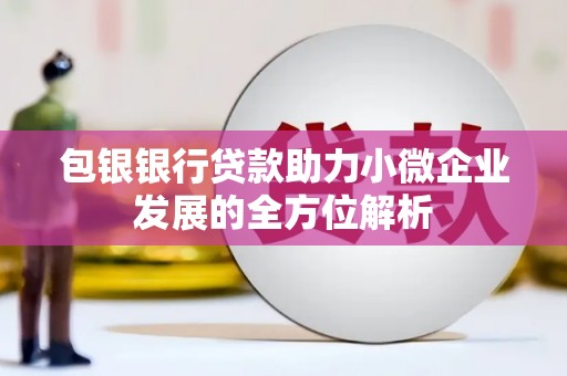 蒙阴包银银行贷款助力小微企业发展的全方位解析