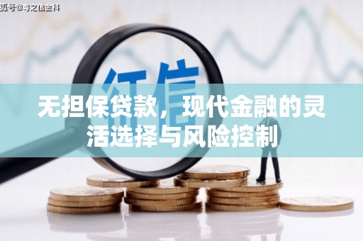 蒙阴无担保贷款，现代金融的灵活选择与风险控制