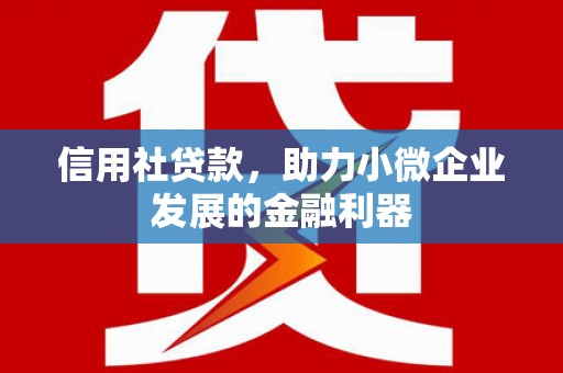 蒙阴信用社贷款，助力小微企业发展的金融利器