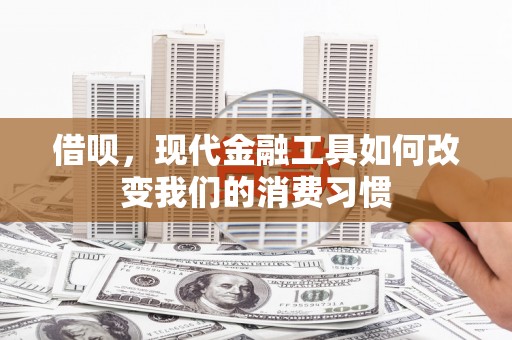蒙阴借呗，现代金融工具如何改变我们的消费习惯