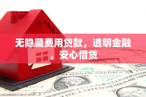 蒙阴无隐藏费用贷款，透明金融，安心借贷