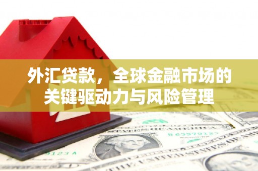 蒙阴外汇贷款，全球金融市场的关键驱动力与风险管理
