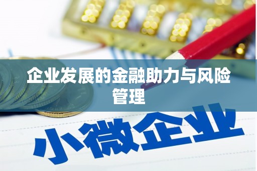 蒙阴企业发展的金融助力与风险管理