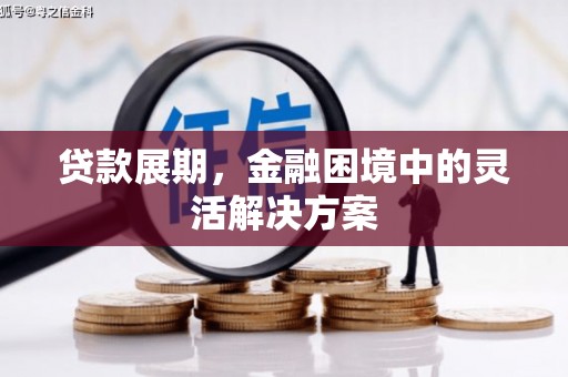 蒙阴贷款展期，金融困境中的灵活解决方案