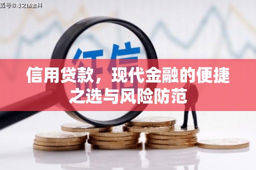 蒙阴信用贷款，现代金融的便捷之选与风险防范