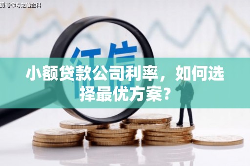 蒙阴小额贷款公司利率，如何选择最优方案？