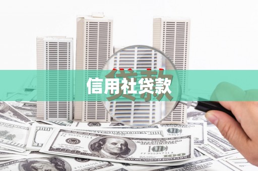 蒙阴信用社贷款