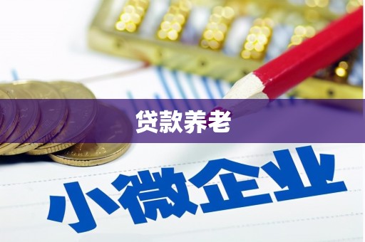 蒙阴贷款养老