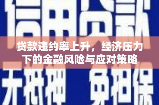 蒙阴贷款违约率上升，经济压力下的金融风险与应对策略