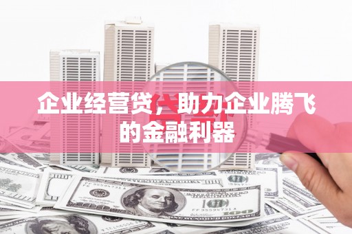 蒙阴企业经营贷，助力企业腾飞的金融利器