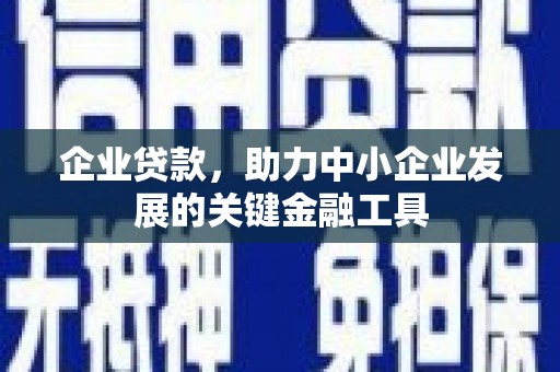 蒙阴企业贷款，助力中小企业发展的关键金融工具