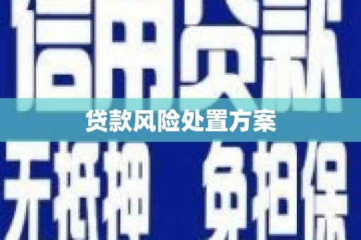 蒙阴贷款风险处置方案