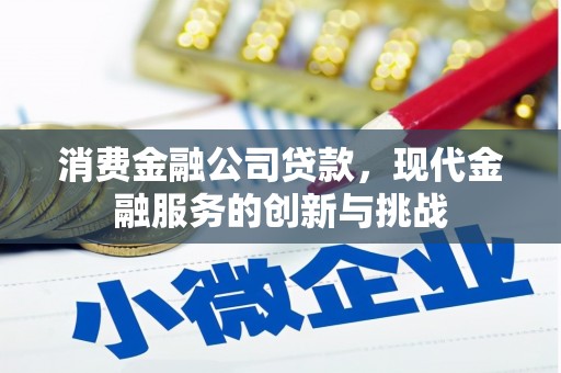 蒙阴消费金融公司贷款，现代金融服务的创新与挑战