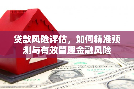 蒙阴贷款风险评估，如何精准预测与有效管理金融风险