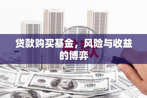 蒙阴贷款购买基金，风险与收益的博弈