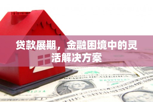 蒙阴贷款展期，金融困境中的灵活解决方案