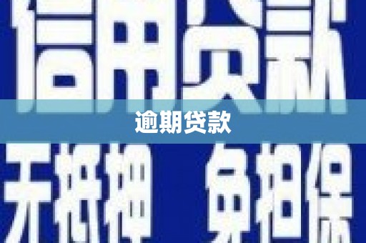 蒙阴逾期贷款