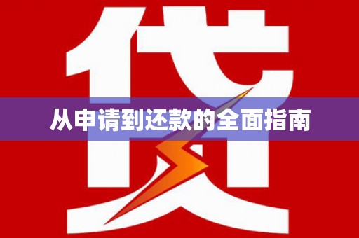 蒙阴从申请到还款的全面指南