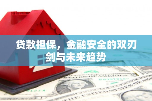 蒙阴贷款担保，金融安全的双刃剑与未来趋势