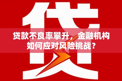 蒙阴贷款不良率攀升，金融机构如何应对风险挑战？
