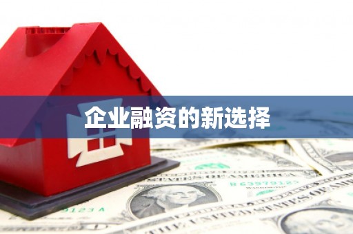 蒙阴企业融资的新选择