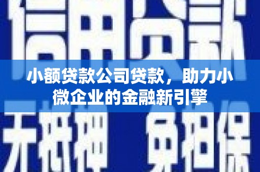 蒙阴小额贷款公司贷款，助力小微企业的金融新引擎