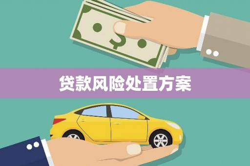 蒙阴贷款风险处置方案