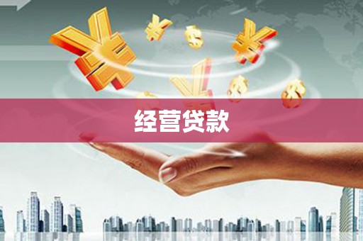 蒙阴经营贷款