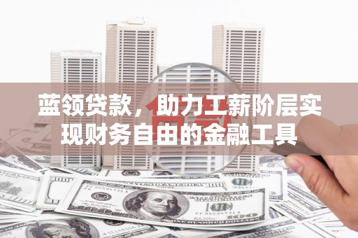 蒙阴蓝领贷款，助力工薪阶层实现财务自由的金融工具