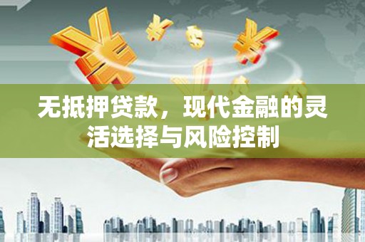 蒙阴无抵押贷款，现代金融的灵活选择与风险控制