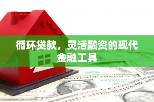蒙阴循环贷款，灵活融资的现代金融工具
