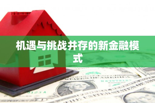 蒙阴机遇与挑战并存的新金融模式