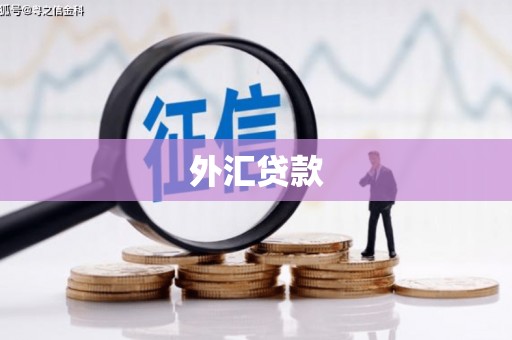 蒙阴外汇贷款