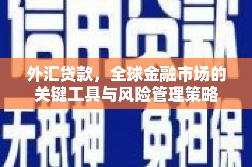 蒙阴外汇贷款，全球金融市场的关键工具与风险管理策略